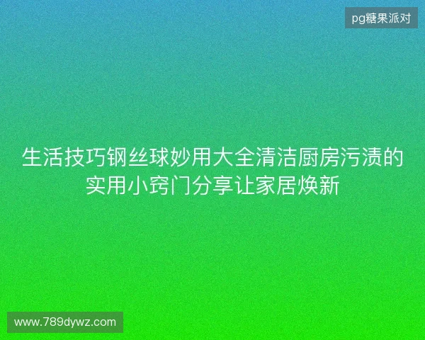 生活技巧钢丝球妙用大全清洁厨房污渍的实用小窍门分享让家居焕新